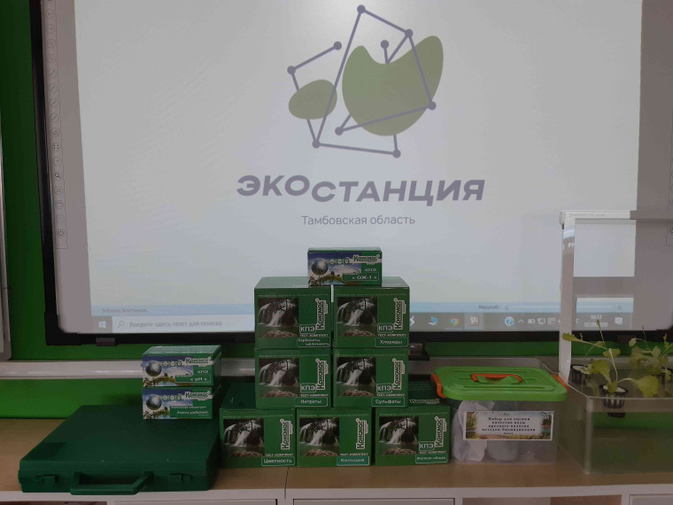 Экостанция на базе Ивановского филиала МБОУ «Сатинская СОШ».
