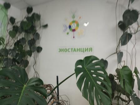 ЭКОстанции.