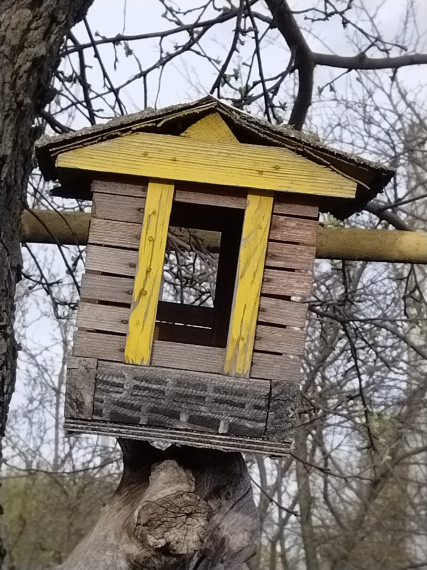 Каждой птице нужен дом.